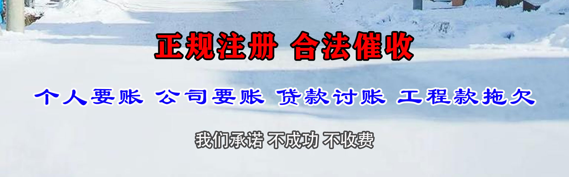 卢龙清债公司